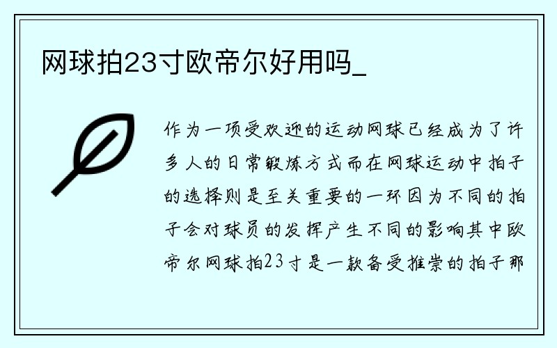 网球拍23寸欧帝尔好用吗_