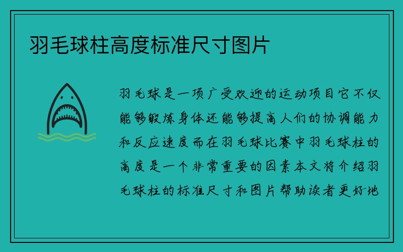 羽毛球柱高度标准尺寸图片